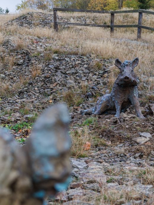 Eine Wildschweinstatue steht mitten in der Bewegung in einer felsigen, grasbewachsenen Außenumgebung, umgeben von einem Holzzaun und vereinzelten Bäumen. Die Landschaft ist trocken und uneben, mit Herbstlaub im Hintergrund. Ein zweites verschwommenes Objekt erscheint im Vordergrund.